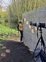 ijsvogel-wand1