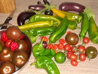 peper